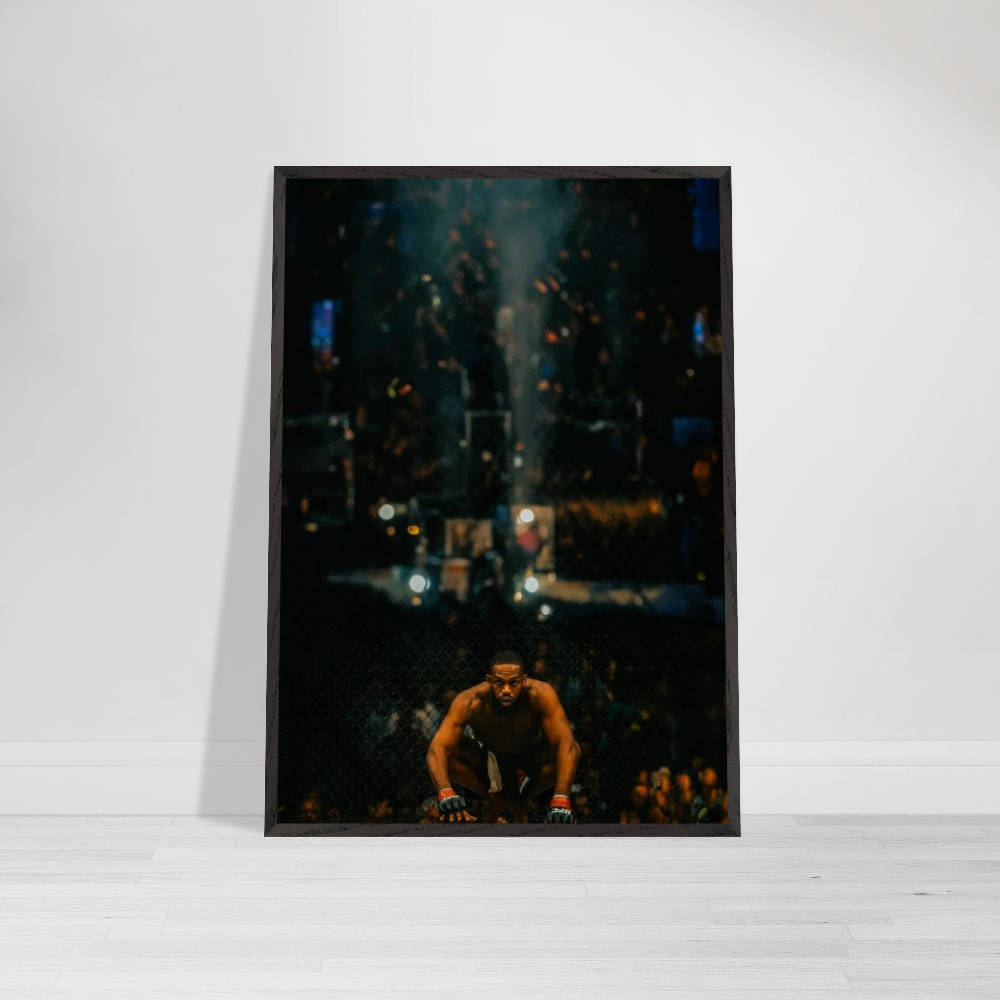 Jon Jones - Fighting Entity