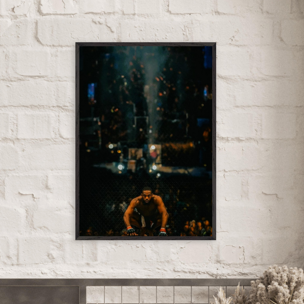 Jon Jones - Fighting Entity