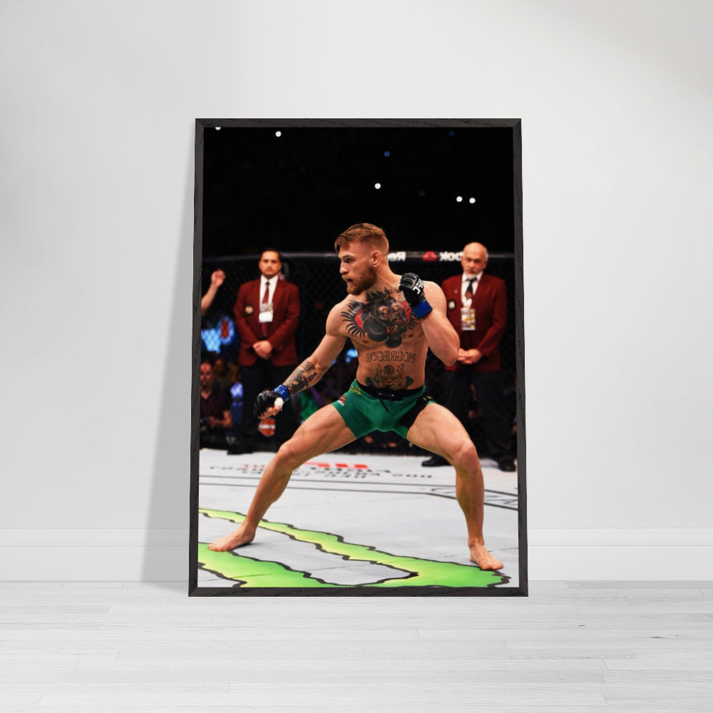 Conor Mcgregor - Karate Stance