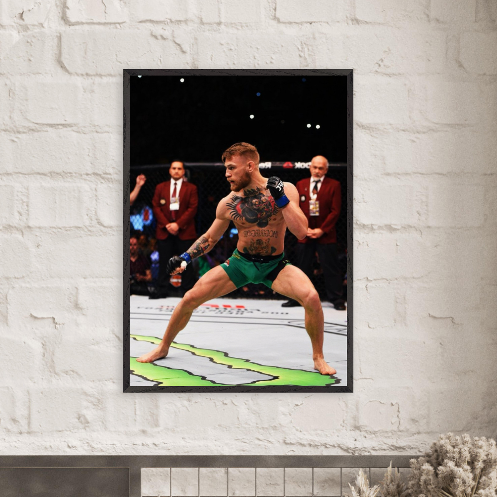 Conor Mcgregor - Karate Stance