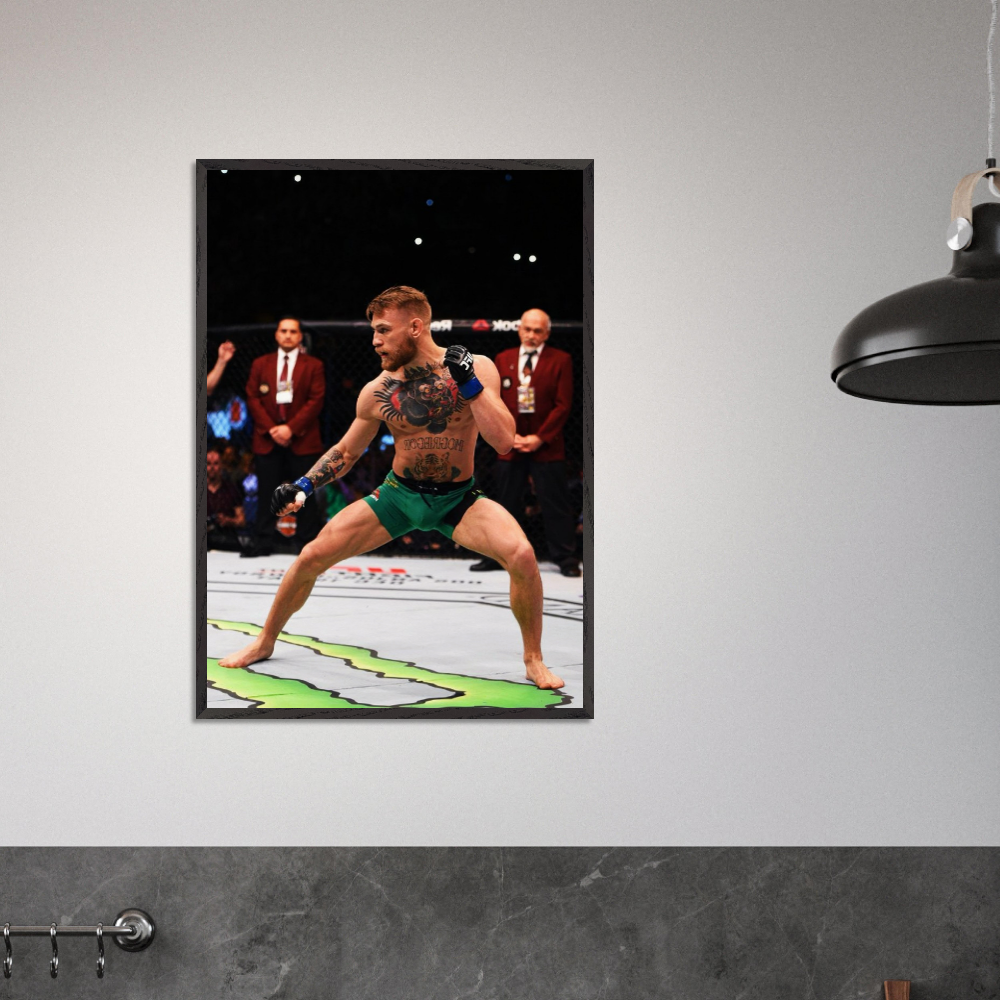 Conor Mcgregor - Karate Stance