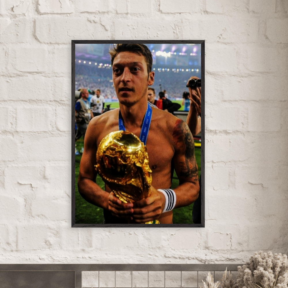 Mesut Özil - Brazil, 2014