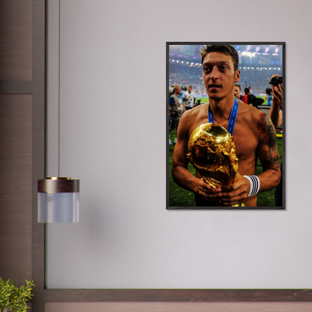 Mesut Özil - Brazil, 2014