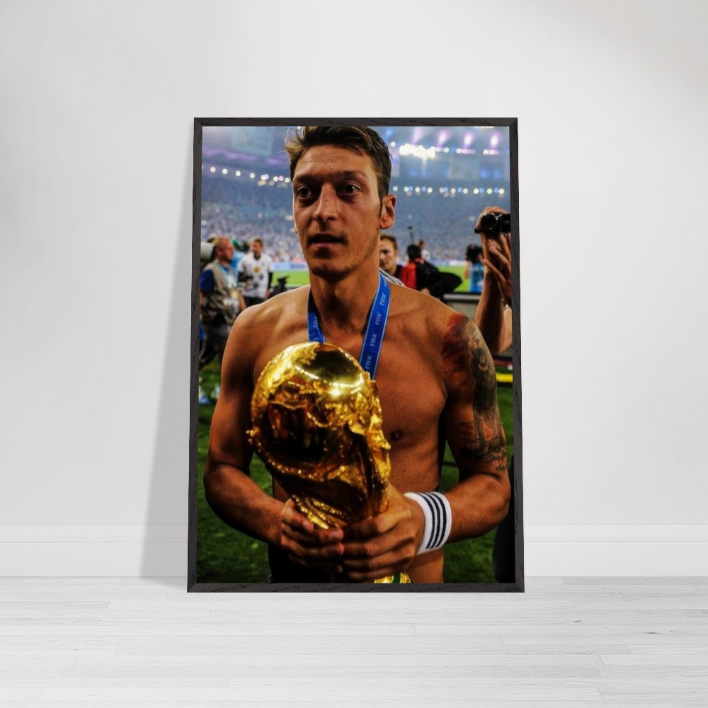 Mesut Özil - Brazil, 2014