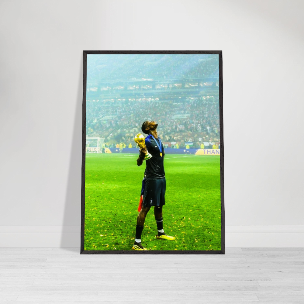 Paul Pogba - World Champion