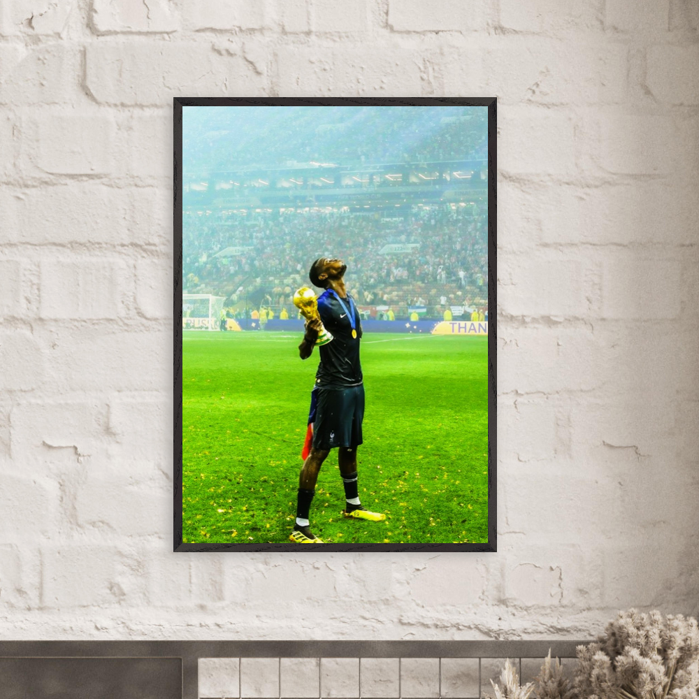 Paul Pogba - World Champion