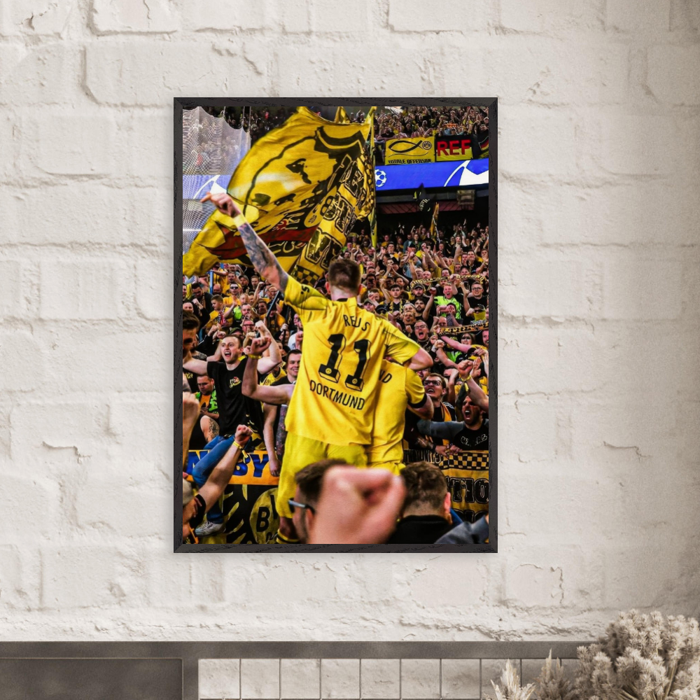 Marco Reus - Yellow Wall
